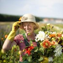 Blumen & Gemüseanbau in Seenfeld, Gochsheim und Schwebheim